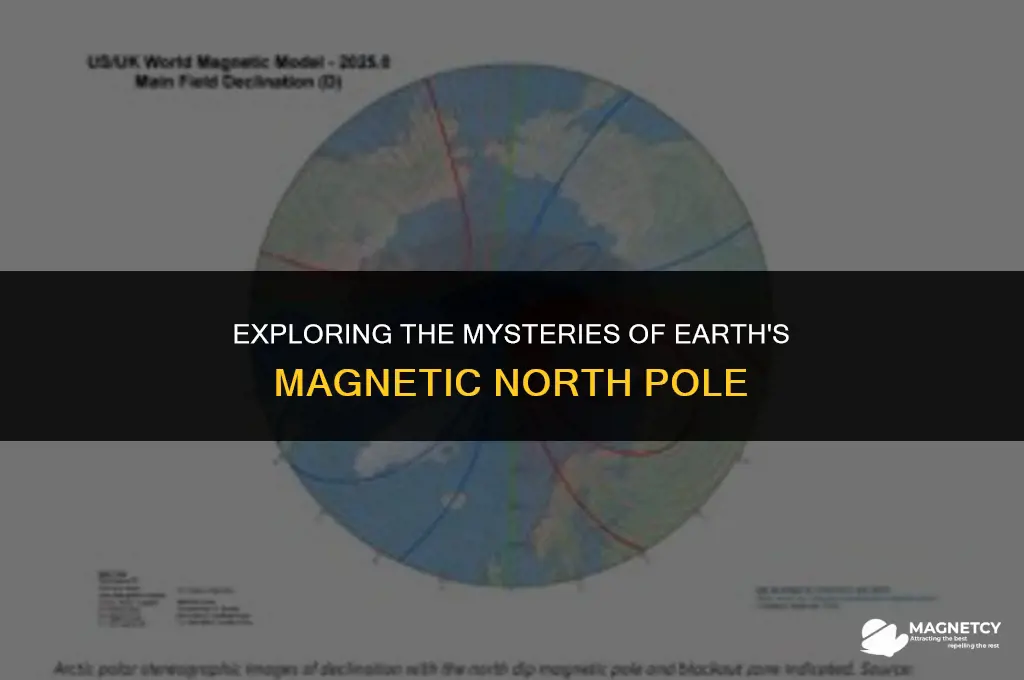 how do magnetic north poles work