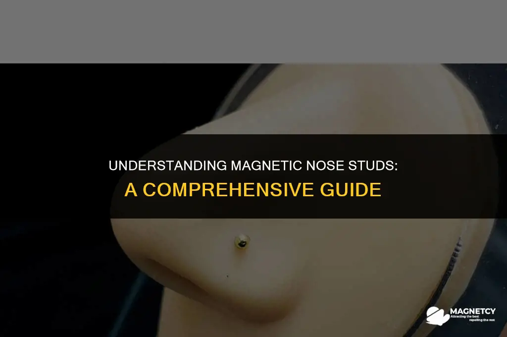 how do magnetic nose studs work