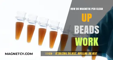 Exploring the Science Behind Magnetic PCR Cleanup Beads