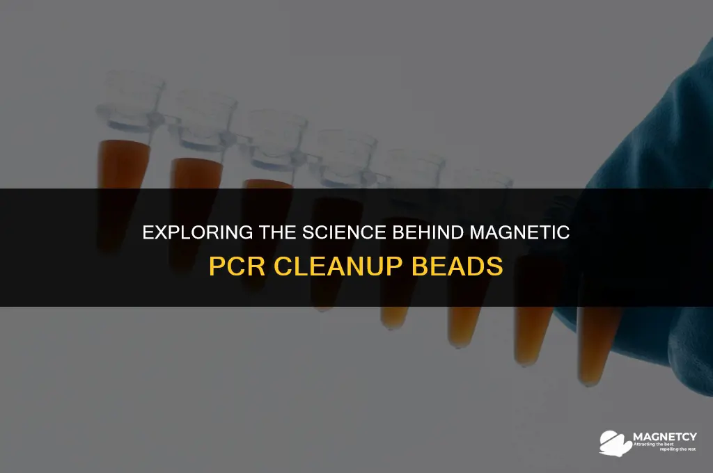 how do magnetic pcr clean up beads work