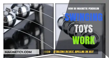 Unveiling the Science Behind Magnetic Pendulum Swinging Toys