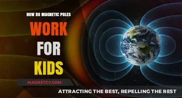 Exploring Magnetic Poles: A Kid's Guide to North and South