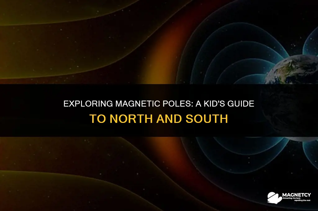 how do magnetic poles work for kids