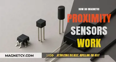 Exploring the Functionality of Magnetic Proximity Sensors
