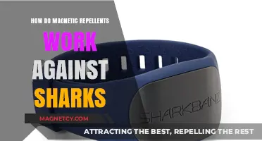 Unleashing the Power of Magnetic Shark Repellents: A Deep Dive