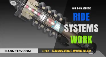 Exploring the Science Behind Magnetic Ride Systems