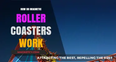 Unveiling the Thrilling Science Behind Magnetic Roller Coasters