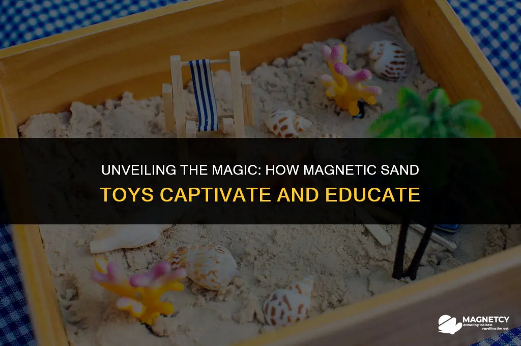 how do magnetic saingimg toys work