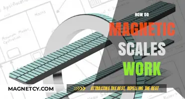 Unveiling the Mysteries of Magnetic Scales: A Comprehensive Guide