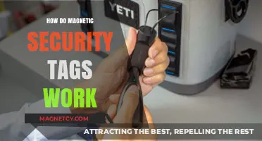 Unveiling the Mystery: How Magnetic Security Tags Safeguard Retail