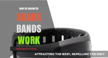 Unveiling the Mystery: How Magnetic Shark Bands Work