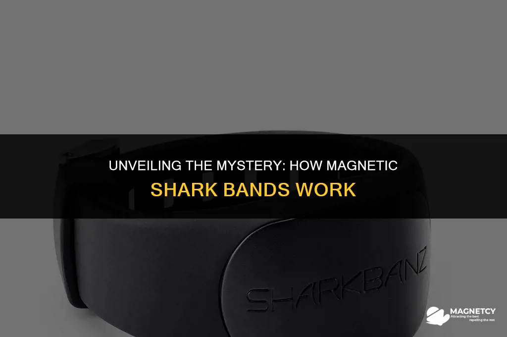 how do magnetic shark bands work