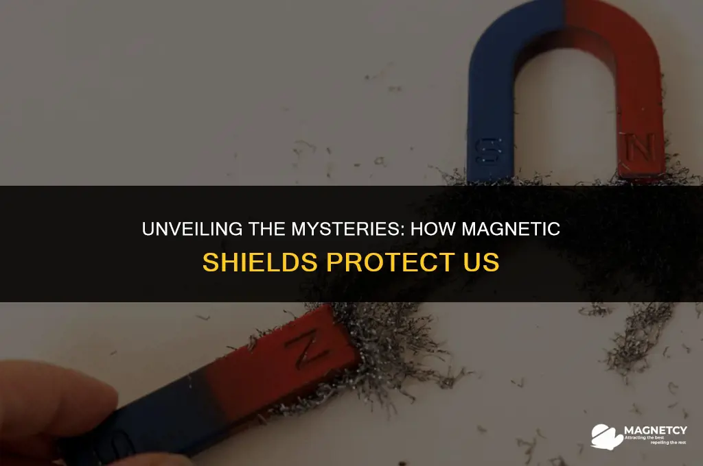 how do magnetic shield work