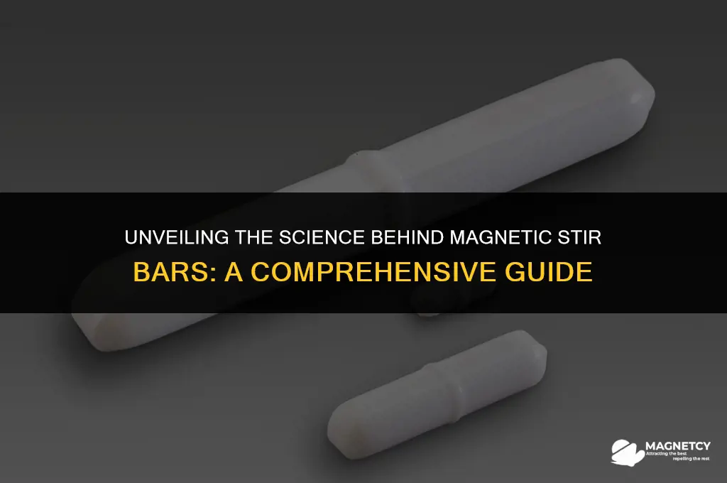 how do magnetic stir bars work