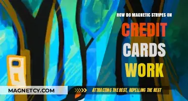 Decoding the Swipe: How Magnetic Stripes on Credit Cards Work