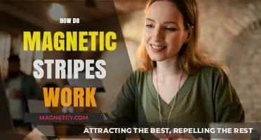 Decoding the Secrets of Magnetic Stripes: A Comprehensive Guide