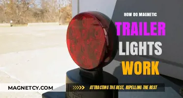 Illuminating the Road: A Guide to Magnetic Trailer Lights