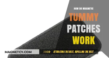 Exploring the Science Behind Magnetic Tummy Patches: Do They Really Work?