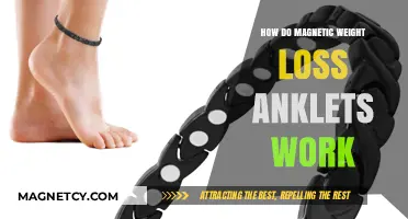 Exploring the Science Behind Magnetic Weight Loss Anklets