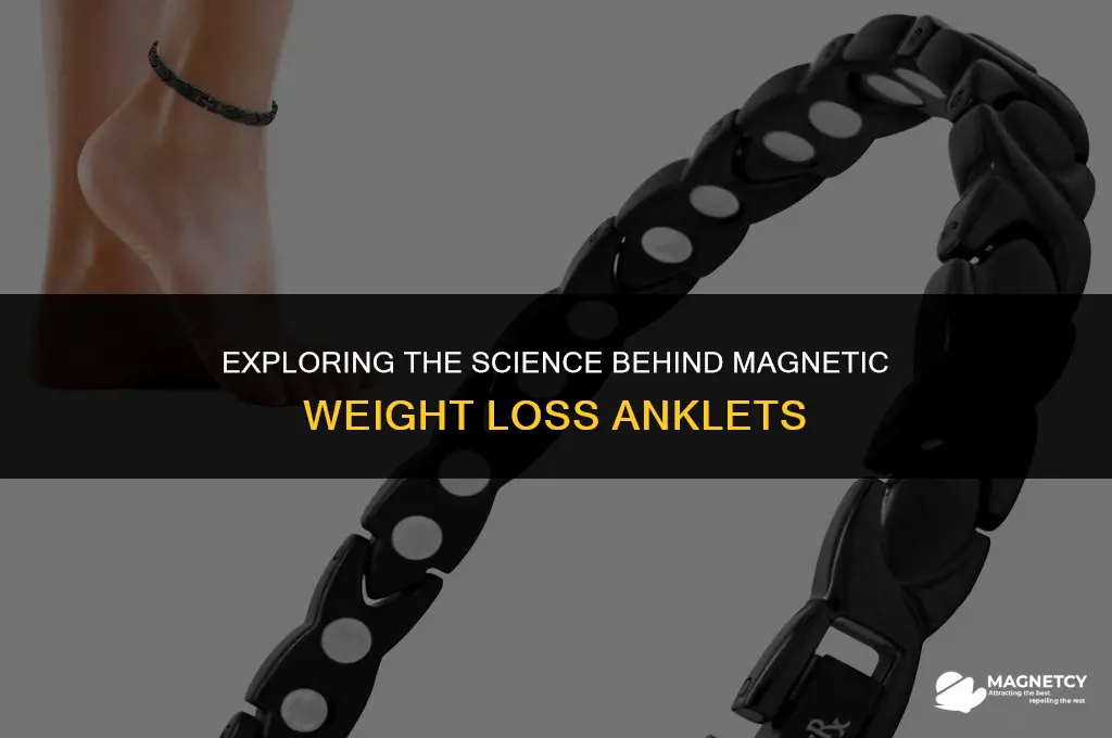how do magnetic weight loss anklets work