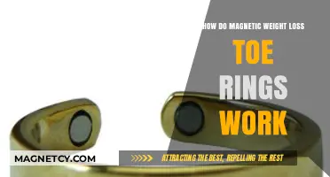 Exploring the Science Behind Magnetic Weight Loss Toe Rings