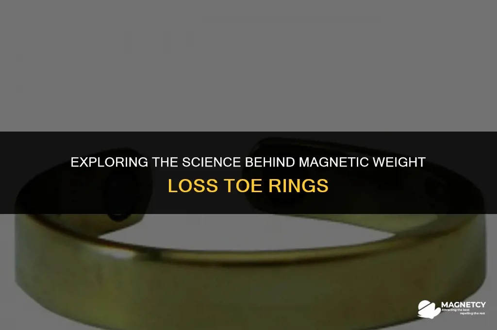 how do magnetic weight loss toe rings work