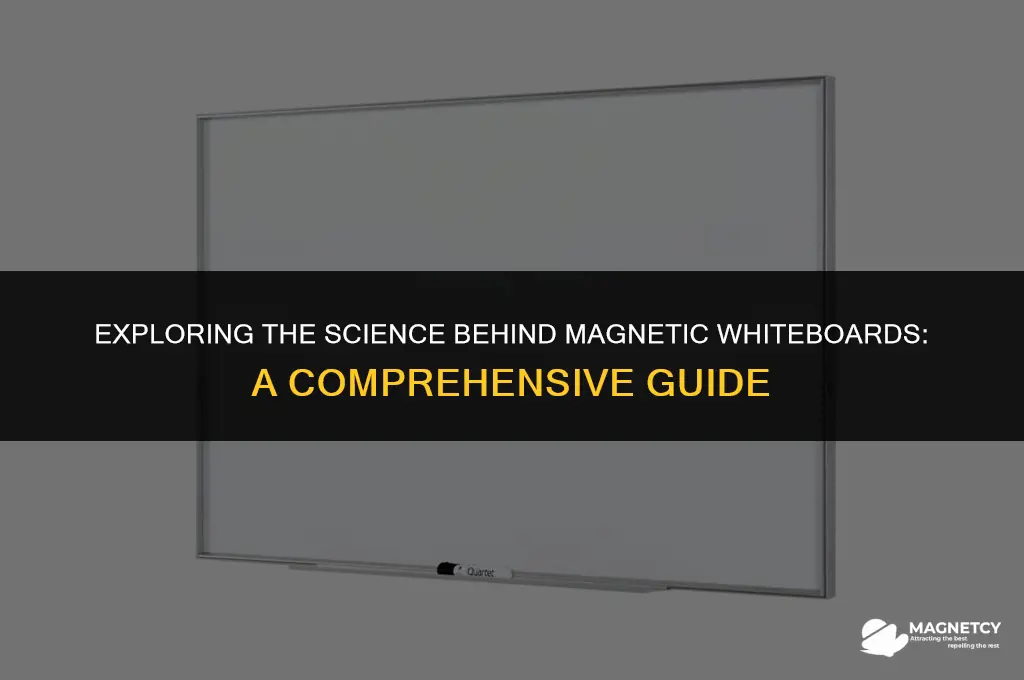 how do magnetic whiteboards work