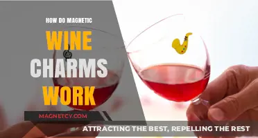 Unveiling the Magic: How Magnetic Wine Charms Enhance Your Drinking Experience