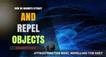 Magnetic Forces Explained: How Magnets Attract and Repel Objects