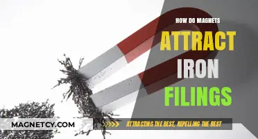 Magnetic Force: Unveiling the Science Behind Iron Filings' Attraction to Magnets