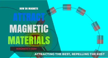 Unveiling the Magnetic Force: How Magnets Attract Magnetic Materials