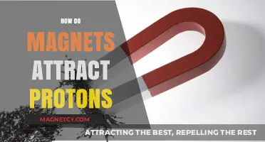 Magnetic Forces: Unveiling How Magnets Attract Protons in Simple Terms