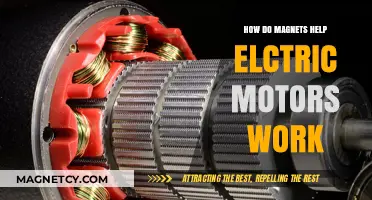 Exploring the Magnetic Magic Behind Electric Motor Efficiency