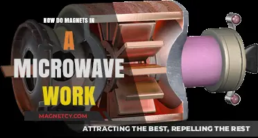 Exploring the Science: How Magnets in a Microwave Work