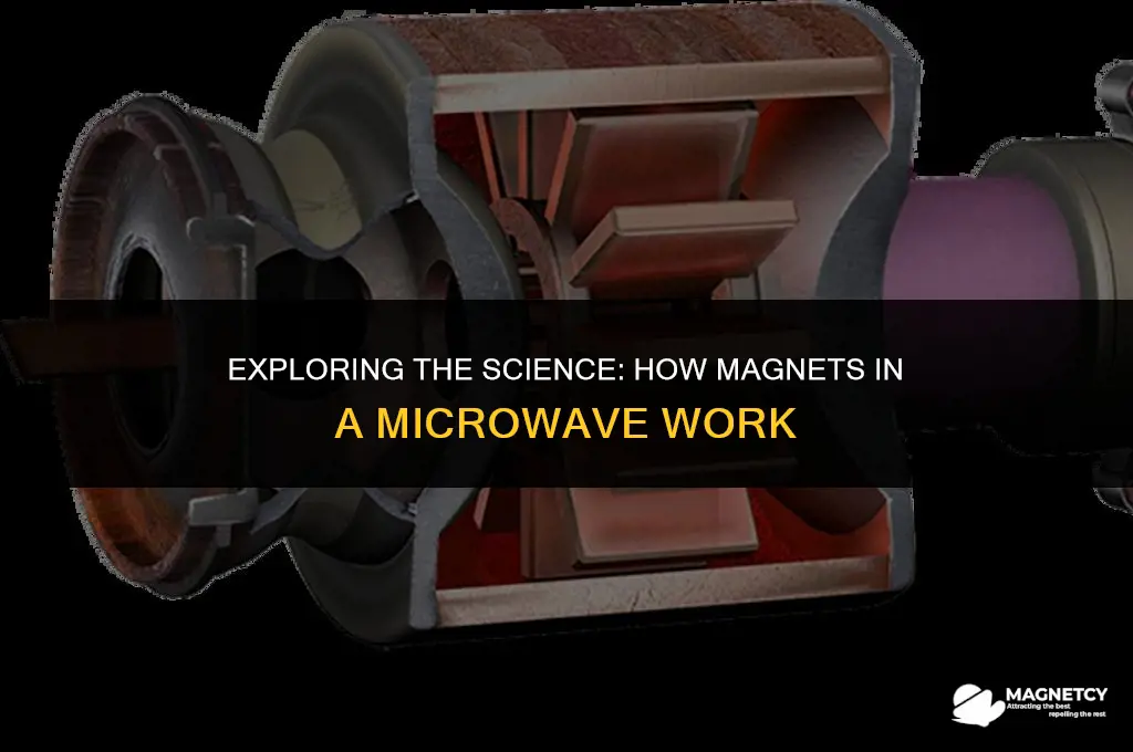 how do magnets in a microwave work