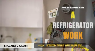 Exploring the Magnetic Magic Behind Your Refrigerator's Functionality