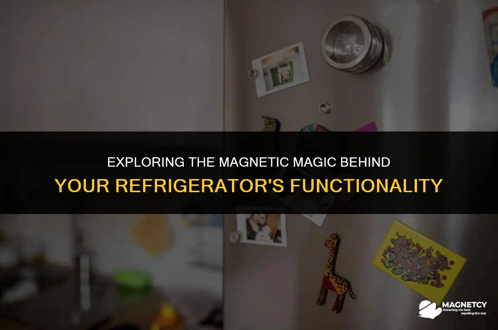 how do magnets make a refrigerator work
