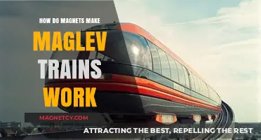 Levitating into the Future: The Magnetic Magic of Maglev Trains