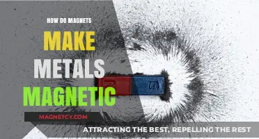 Unlocking the Secret: How Magnets Transform Metals into Magnetic Wonders