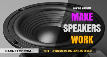 Exploring the Magnetic Magic Behind Speaker Technology