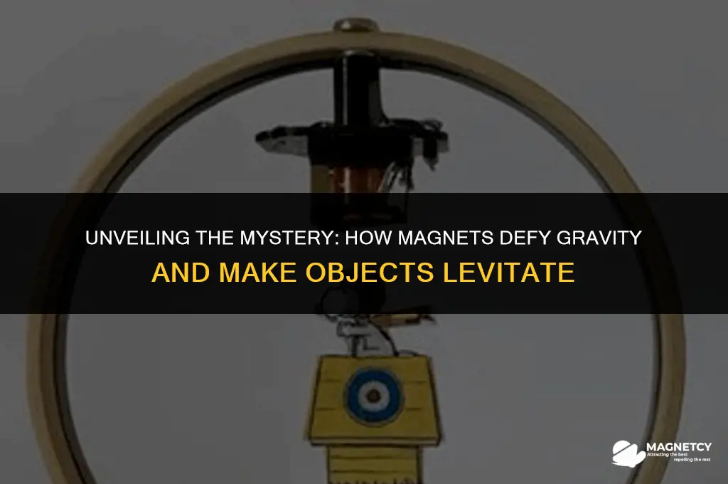 how do magnets make things levitate