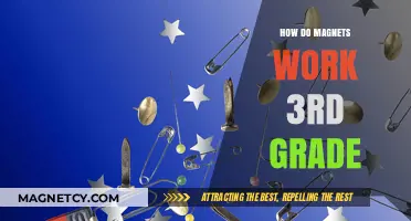 Exploring Magnetism: A 3rd Grade Guide to How Magnets Work