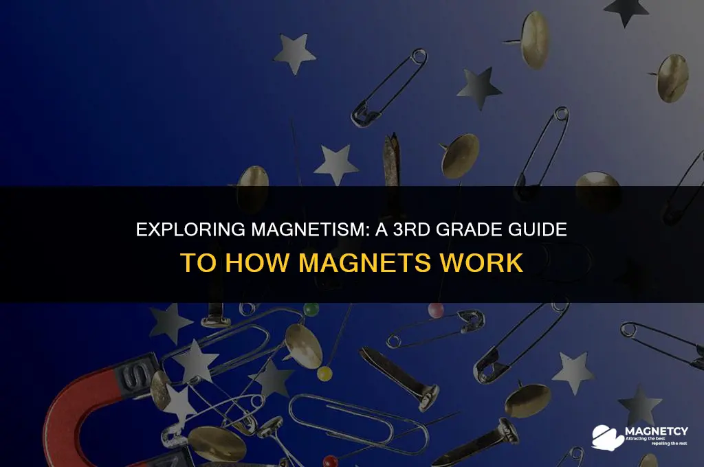 how do magnets work 3rd grade
