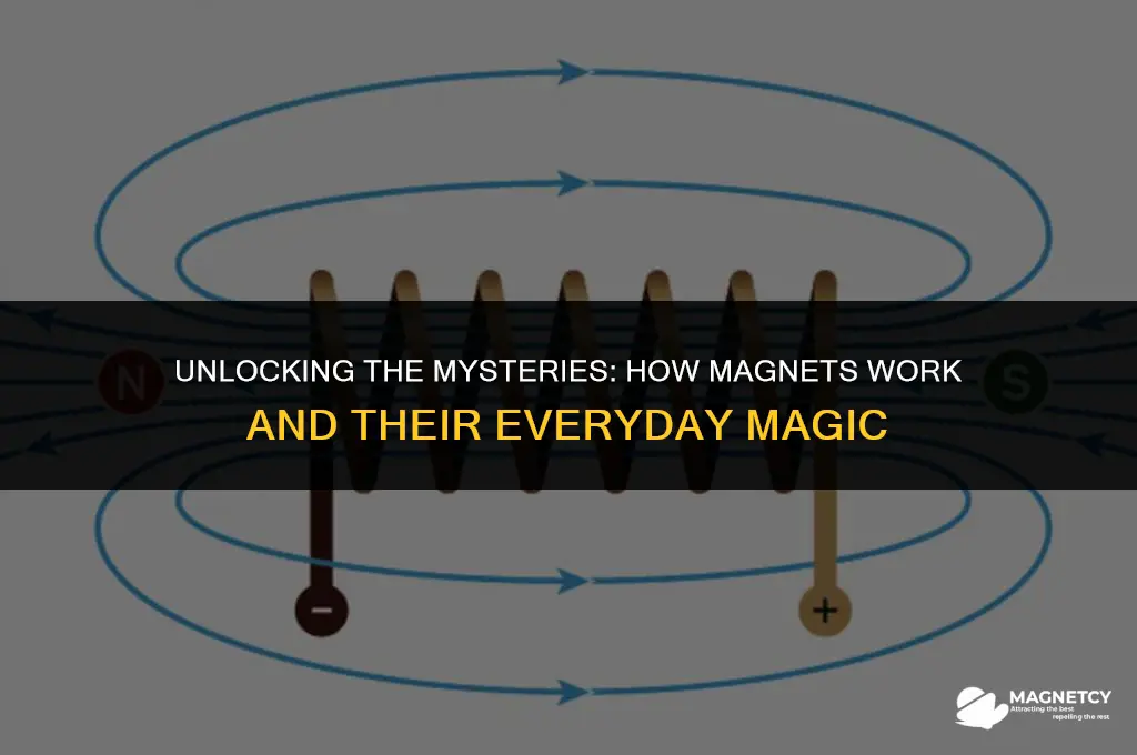 how do magnets work article