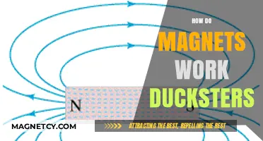 Exploring Magnetism: How Magnets Work, Ducksters Edition
