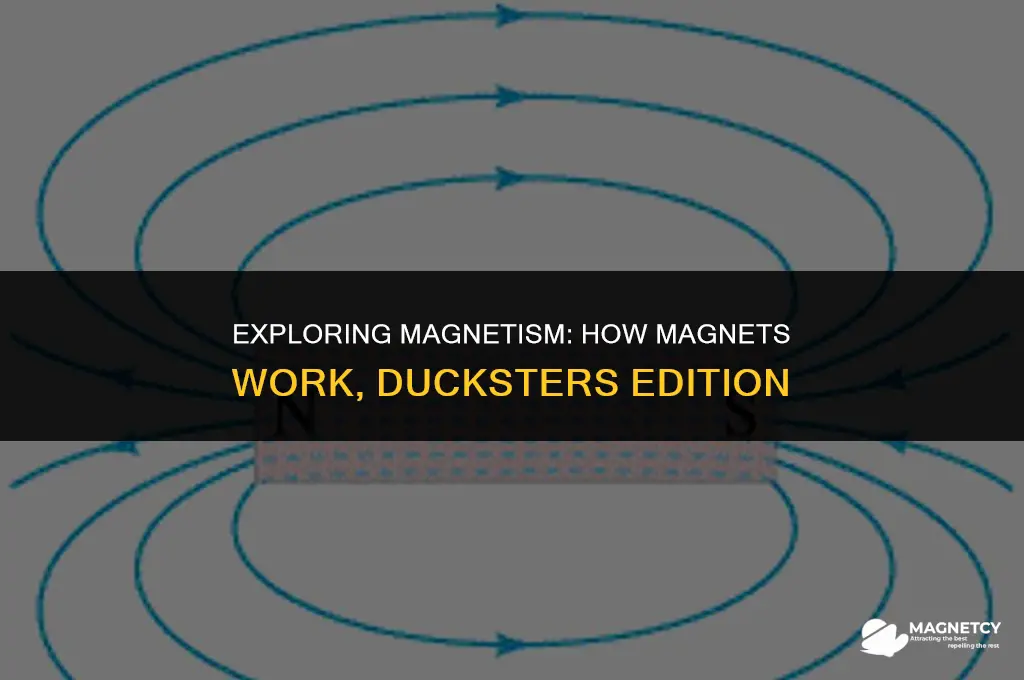 how do magnets work ducksters