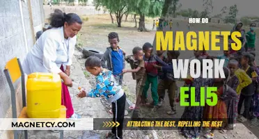 Unlocking the Mysteries of Magnetism: A Simple Guide for Curious Minds