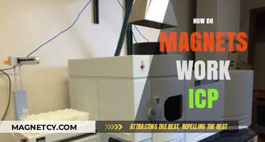 Unveiling the Mysteries: How Magnets Work in ICP Applications