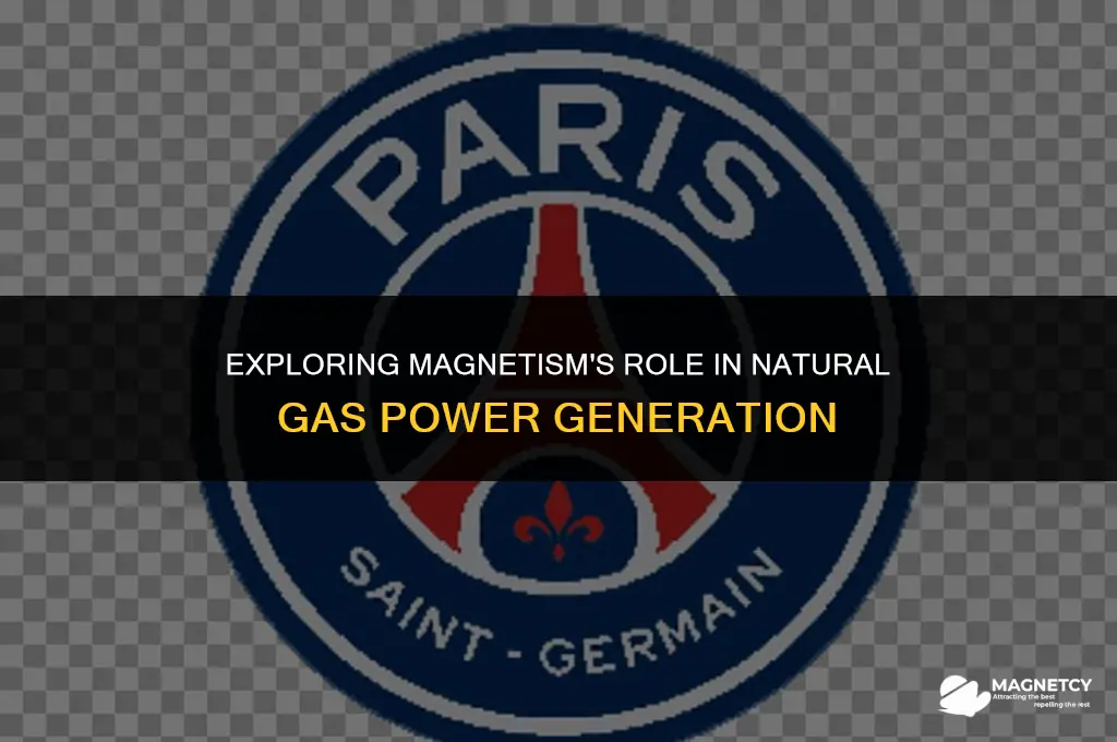 how do magnets work in a natural gas power plant