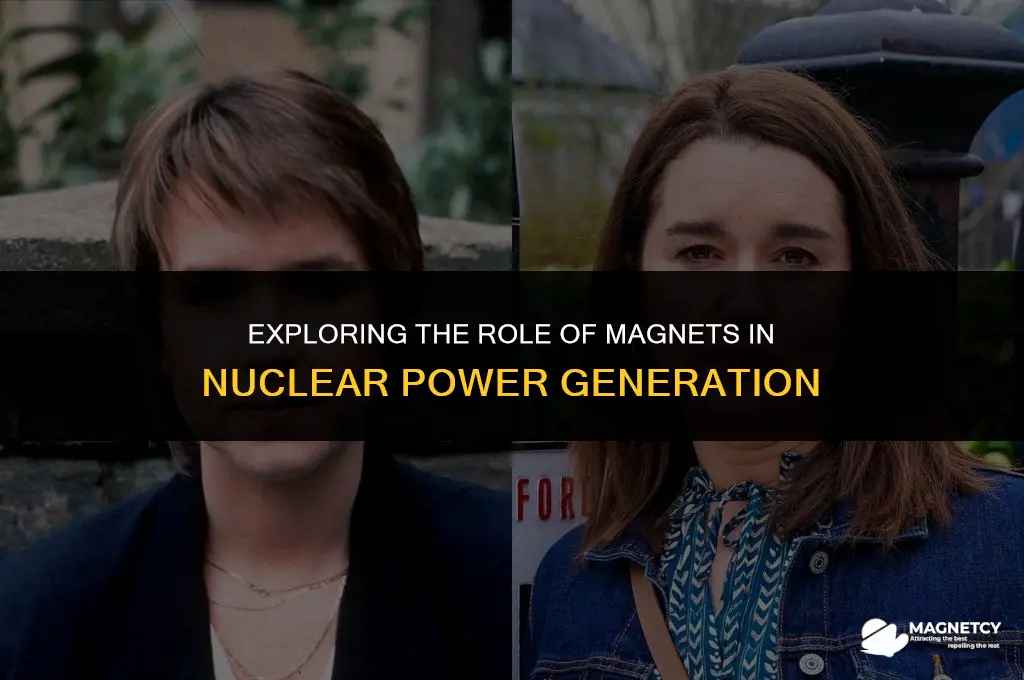 how do magnets work in a nuclear power plant